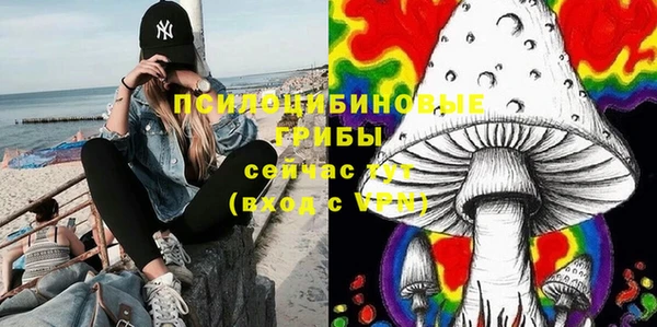 PSILOCYBIN Абдулино
