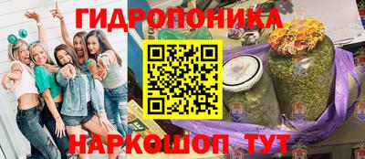 шишки Азнакаево