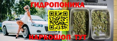 шишки Азнакаево