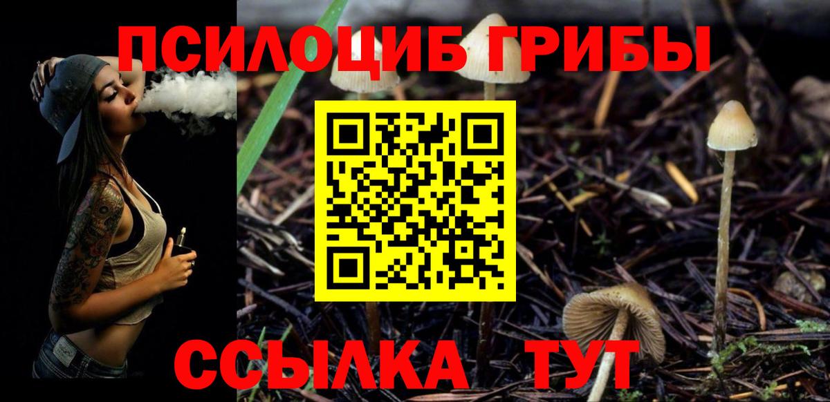 Абинск  Псилоцибиновые грибы мухоморы  даркнет сайт  Вход с VPN 