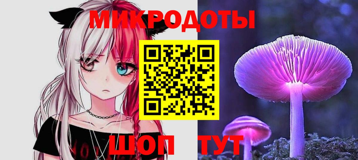 Псилоцибиновые грибы Psilocybine cubensis Абинск